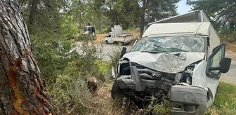 Alanya'da ağaca çarpan kamyonetin sürücüsü öldü, 1 kişi ağır yaralandı