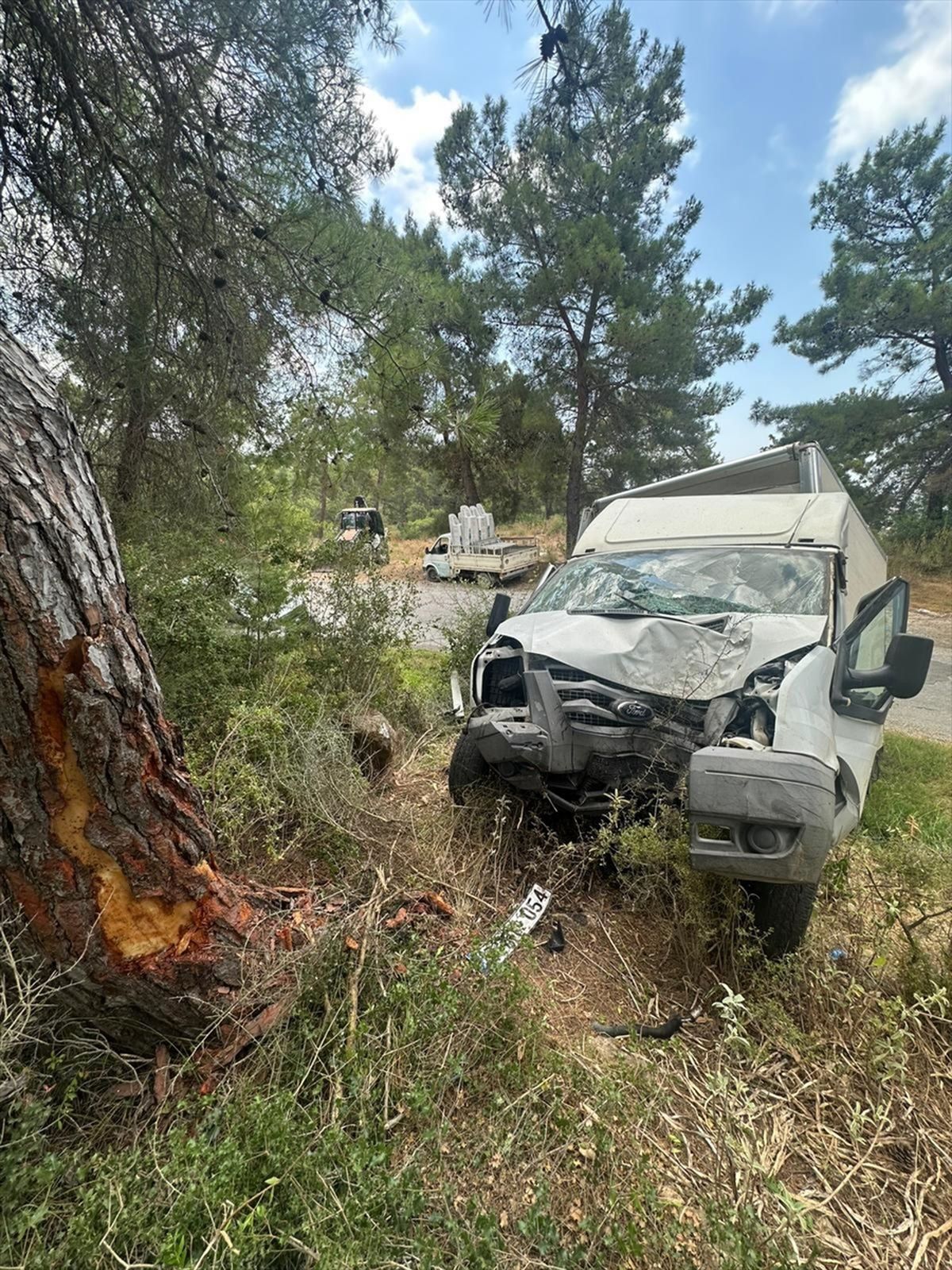 Alanya'da ağaca çarpan kamyonetin sürücüsü öldü, 1 kişi ağır yaralandı