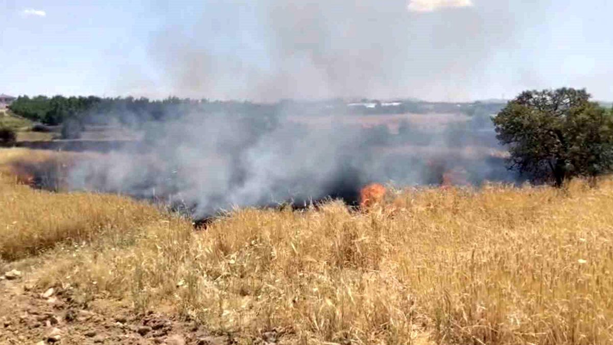 Elazığ'da arazi yangını ekiplerin müdahalesi sürüyor