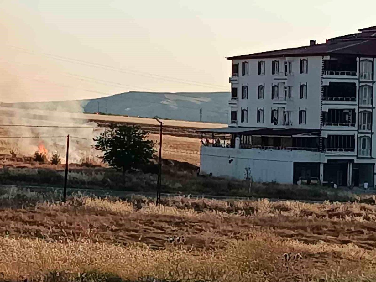 Elazığ'da buğday tarlasında yangın
