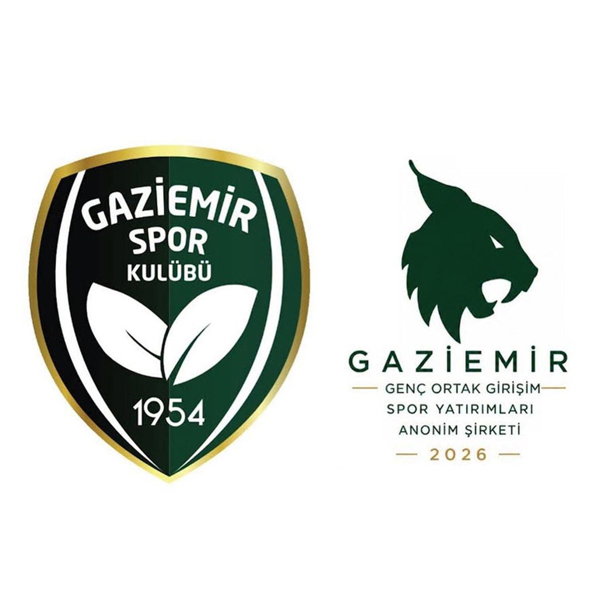 Gaziemir Spor logosu ve futbol sahası görüntüsü