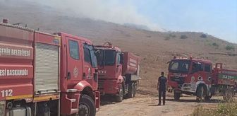 Hatay'da makilik alana sıçrayan anız yangını söndürüldü