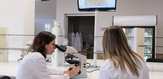 Hitit Üniversitesinde ilacın dozunu azaltıp faydasını artıracak 'taşıyıcı sistem' geliştiriliyor