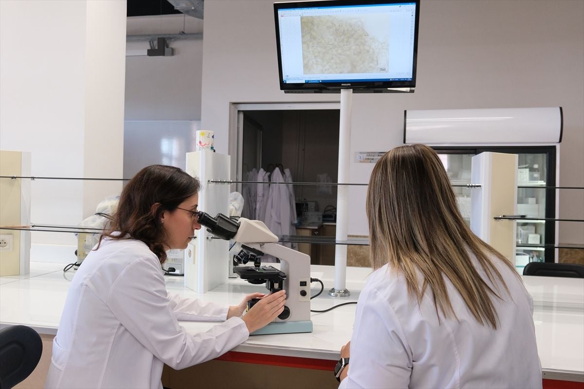 Hitit Üniversitesinde ilacın dozunu azaltıp faydasını artıracak 'taşıyıcı sistem' geliştiriliyor