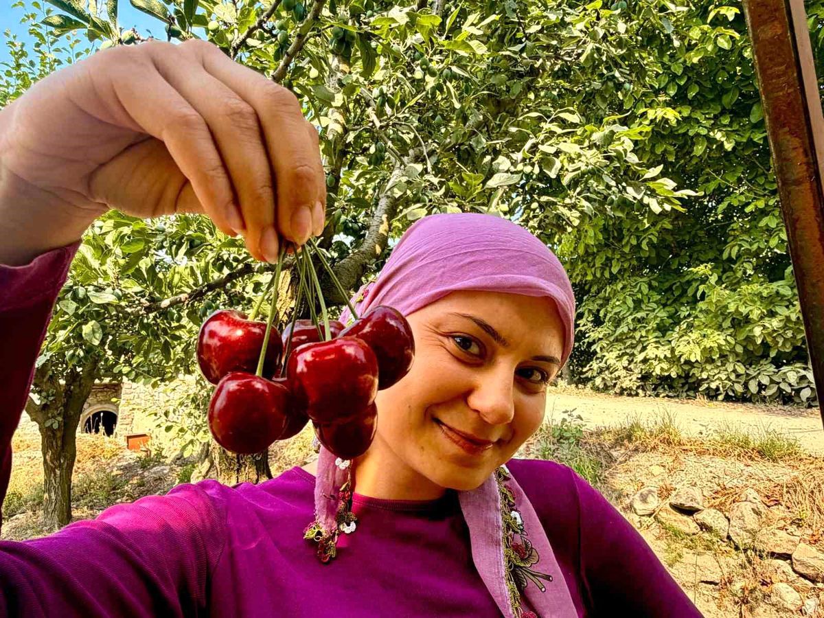 Sultandağı ilçesinde kiraz hasadı yapan çiftçiler