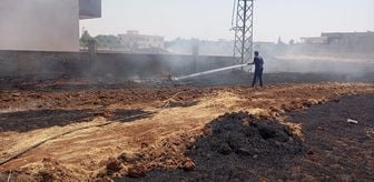 Mardin'in 3 ilçesinde çıkan ot ve anız yangınları söndürüldü