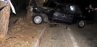 Ödemiş'te ağaca çarpan otomobildeki iki kişi yaralandı