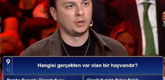 Pembe burunlu timsah kuşu gerçek mi, pembe burunlu timsah kuşu var mı?