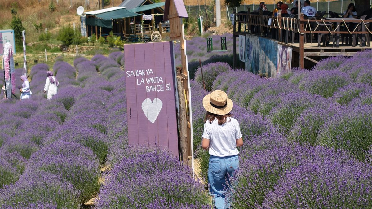 Sakarya 'Türkiye Kültür Yolu Festivali'ne hazır