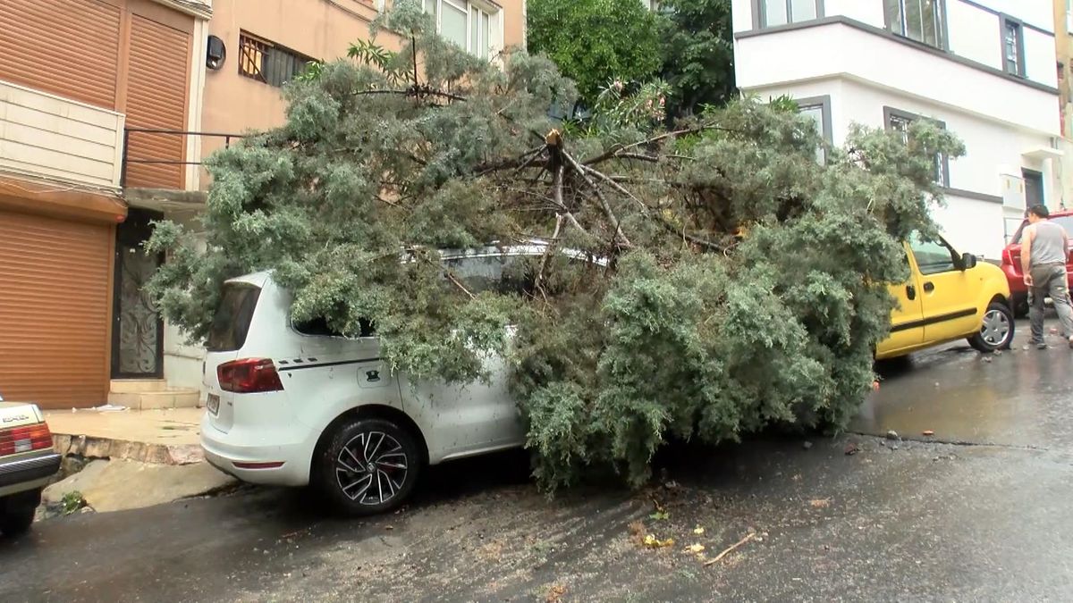 Şişli'de Sağanak Yağışında Ağaç Devrilmesi: 2 Araç Hasar Gördü