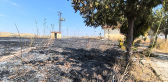 Diyarbakır'da çıkan anız yangını söndürüldü