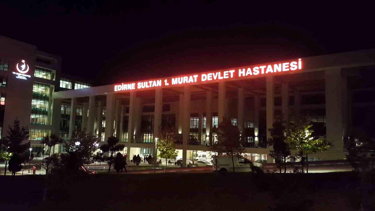 Edirne İpsala'da yıldırım düşen ahır