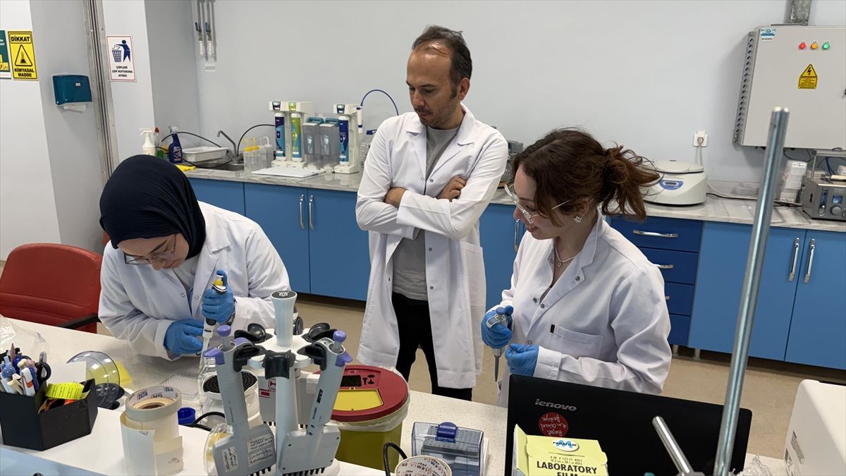 Karabük Üniversitesi'nde hücresel yaş analizi için yerli test kiti geliştiriliyor