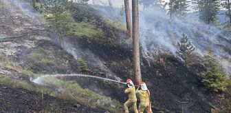 Kastamonu'da çıkan orman yangını söndürüldü