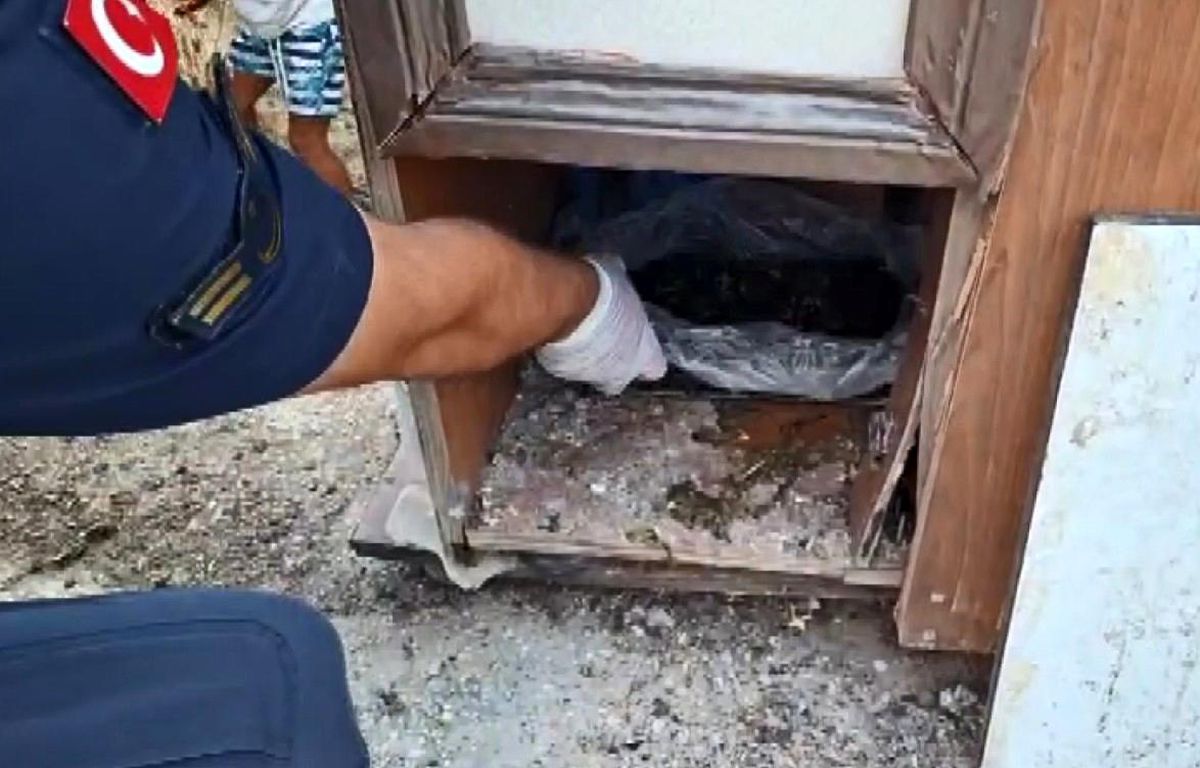 Mersin'de uyuşturucu operasyonu kapsamında polis ekiplerinin bir adrese girişi.