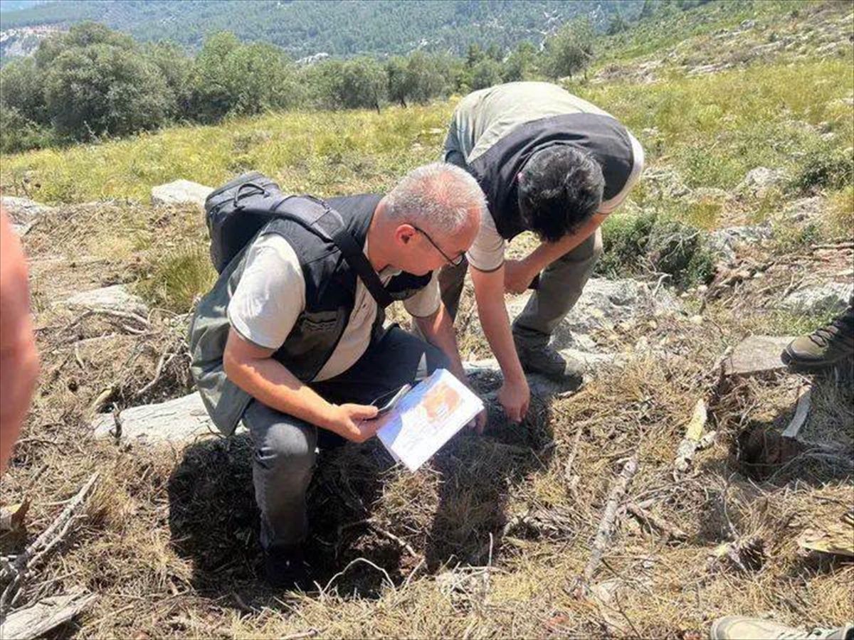 Antalya Orman Bölge Müdürü Kemal Kayıran, Finike'de orman işletme müdürlüğü çalışmalarını inceliyor.