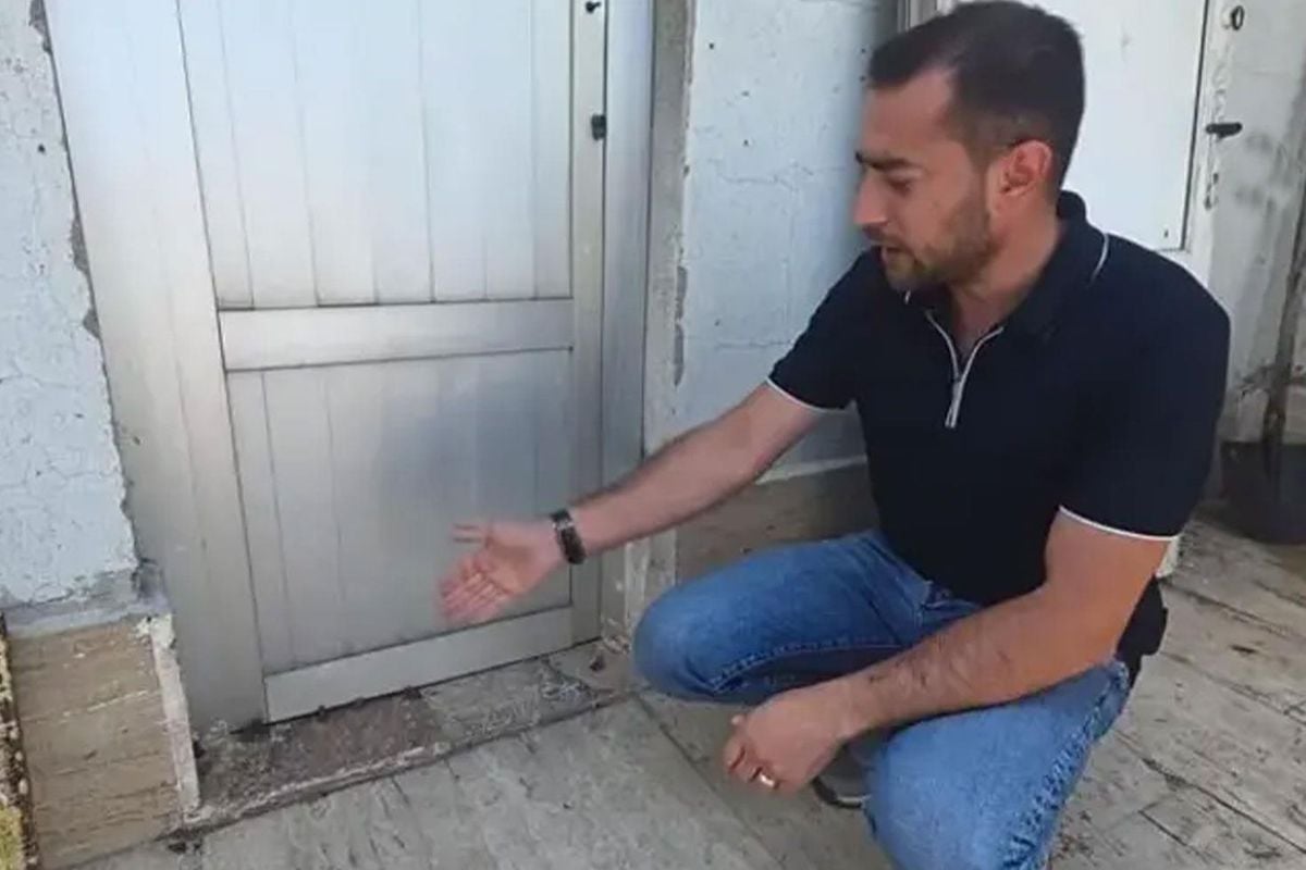 Sağanak yağış sonrası ortaya çıktılar: Hikmet mi, başka bir şey mi bilemedik
