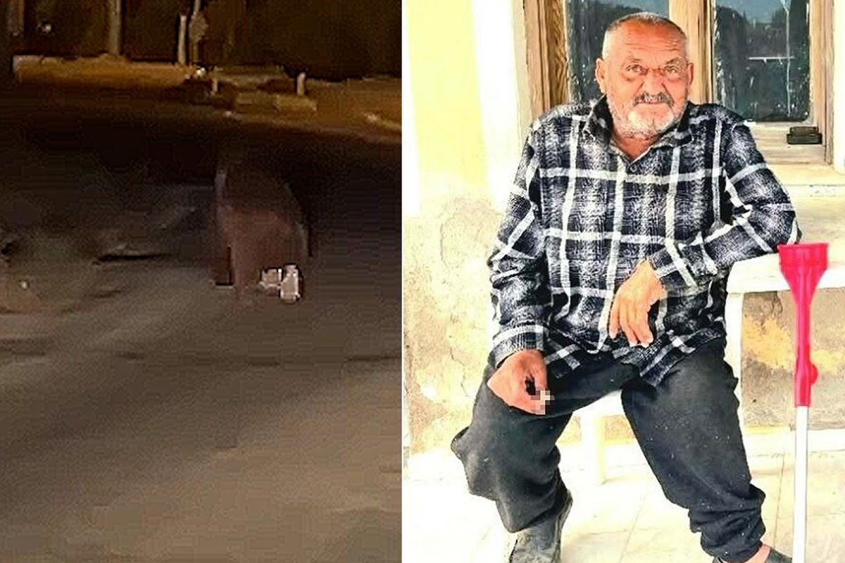 İzmir'de ayı dehşeti! Balkonda uyurken canını aldı, bir de 20 metre sürükledi