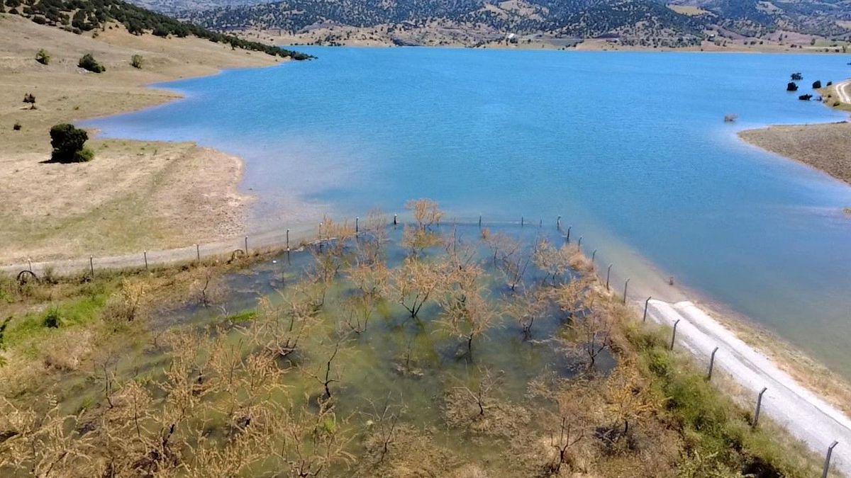 Yozgat'ta badem ağaçları sular altında kaldı