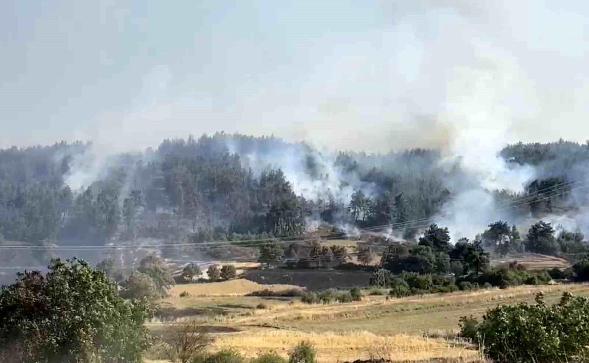 Balıkesir'de orman yangınına müdahale sürüyor