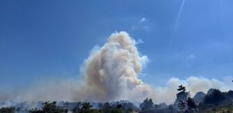 Balıkesir'in Altıeylül ilçesinde çıkan orman yangınına müdahale ediliyor