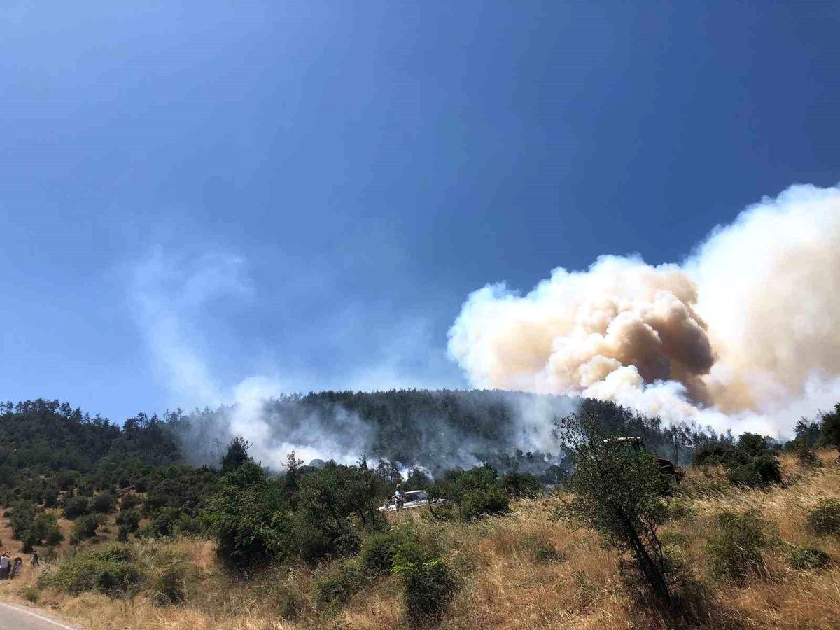 Balıkesir Kepsut'ta orman yangını