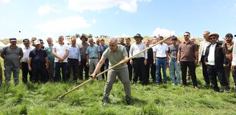 Bingöl Valisi Cahit Çelik Çotla Festivali'nde at binip tırpanla ot bitçi