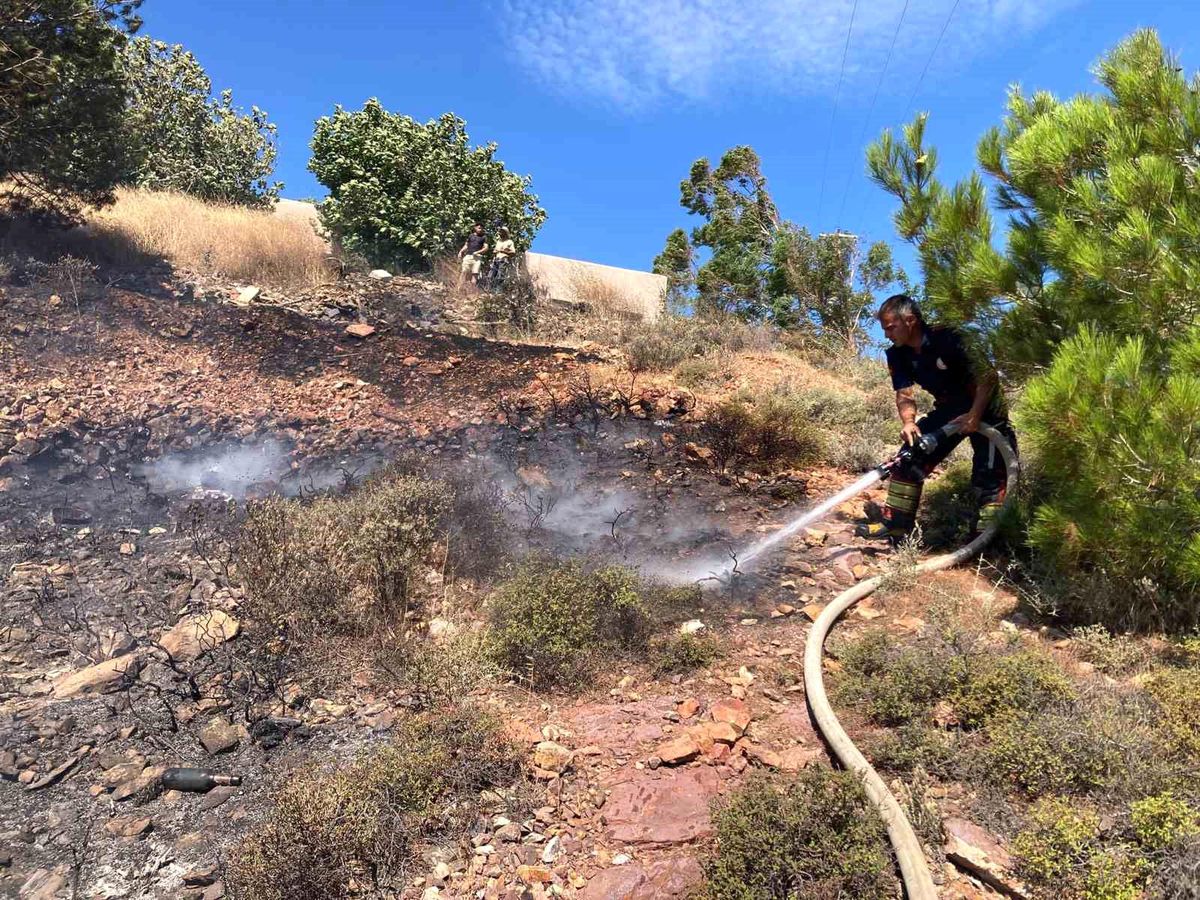 Cunda Adası'nda orman yangını