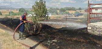 Elazığ'da örtü yangını söndürüldü