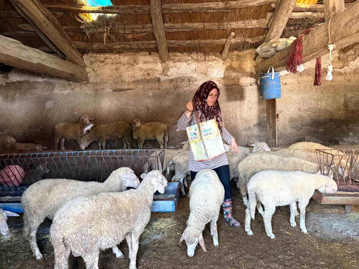 Eşi öldürülen Fatma Çalık: Hem çobanlık yapıyorum hem çocuk okutuyorum