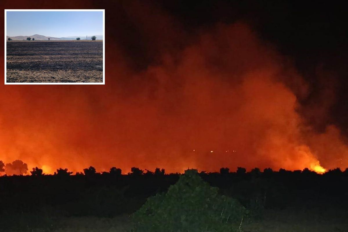 Gaziantep'te 400 dönüm arazide çıkan yangın 3 saatte zor söndürüldü