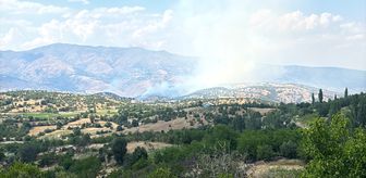 Malatya'nın Pütürge ilçesindeki orman yangını söndürüldü