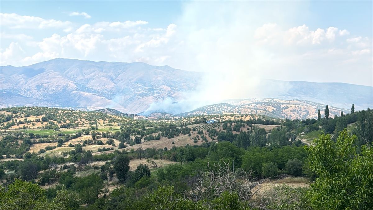 Avcılar'da Otluk Alandaki Yangın Kontrol Altına Alındı
