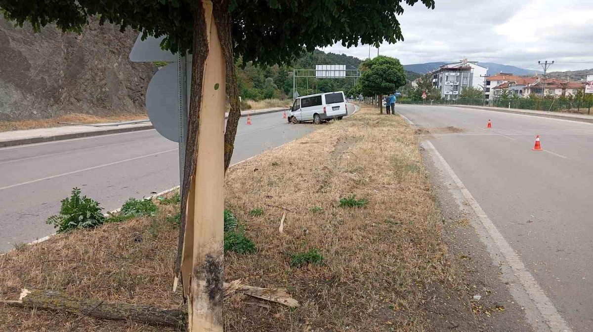 Amasya'da minibüs refüjdeki ağaç ve direğe çarptı: 4 yaralı