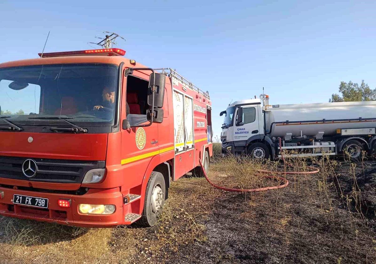 Diyarbakır'da anız yangını sonrası telef olan leylekler