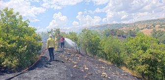 Bingöl'de meşelik alanda çıkan yangın söndürüldü
