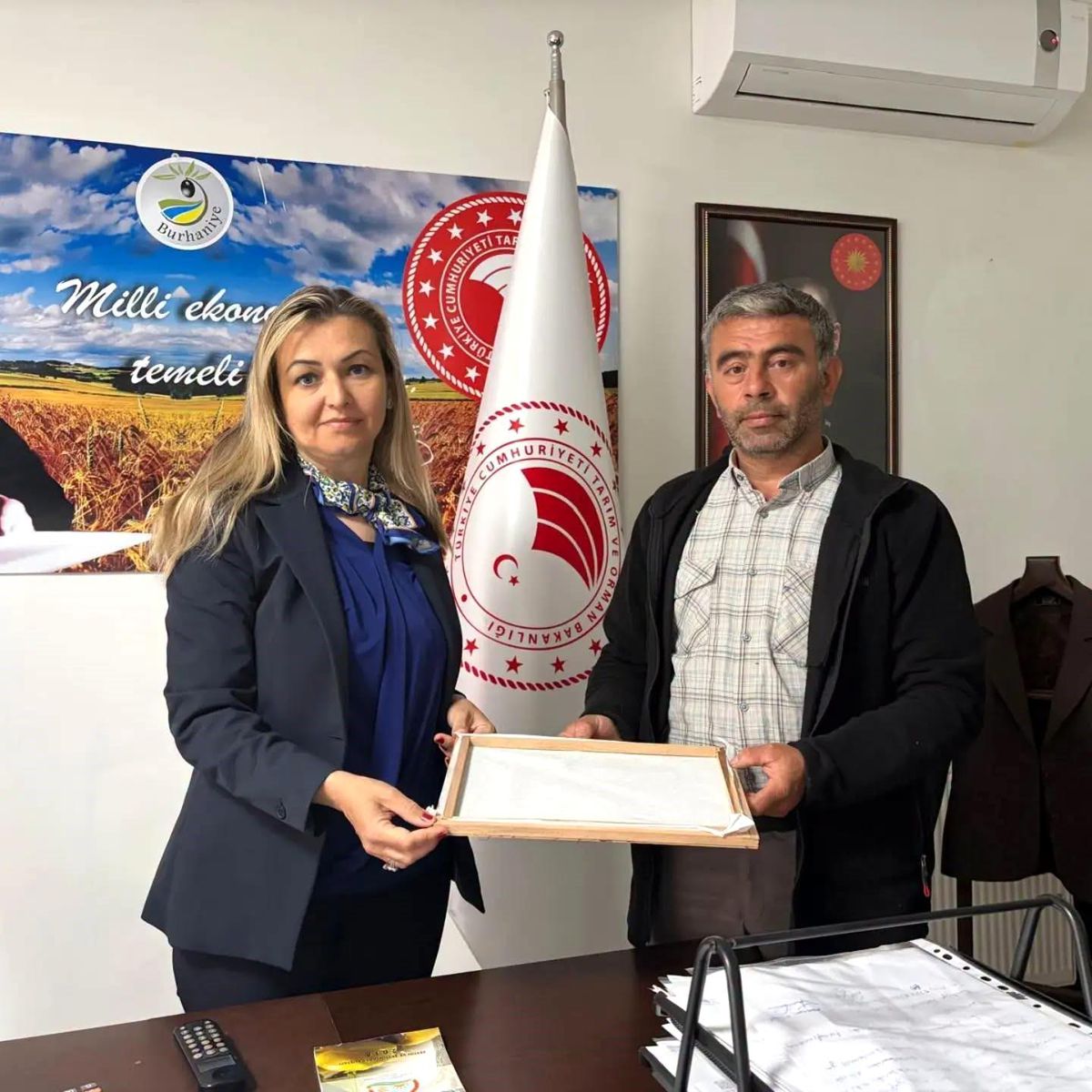 Burhaniye'de İpek Böcekçiliği Projesi kapsamında toplanan ipek kozaları.