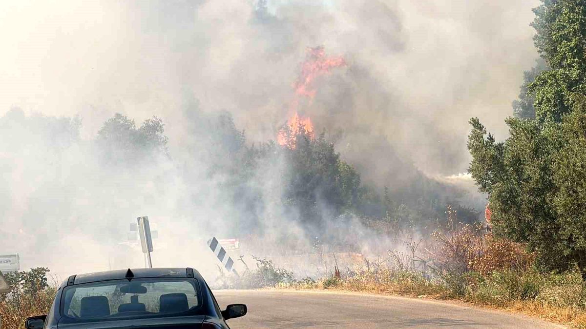 İznik'te çöp tesisi yangını sonrası ormanlık alanda dumanlar yükseliyor.