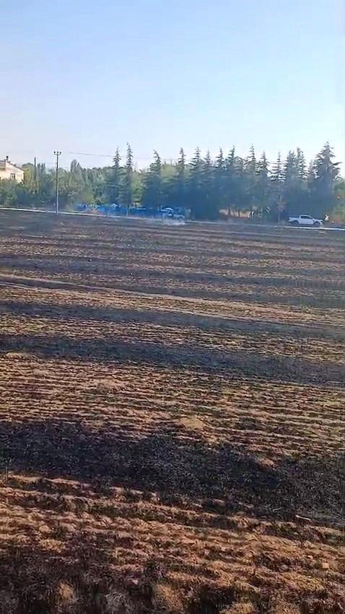 Eskişehir'de bir evin bahçesinde çıkan ot yangınına itfaiye müdahale ediyor.
