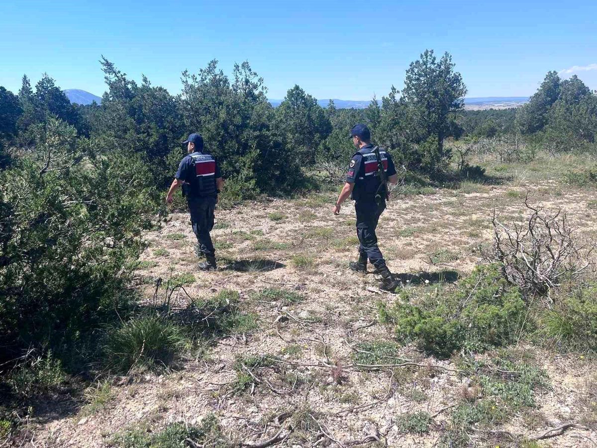 Kütahya'da orman yangınlarına karşı jandarma teyakkuza geçti