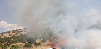 Mardin'de çıkan orman yangınına müdahale ediliyor