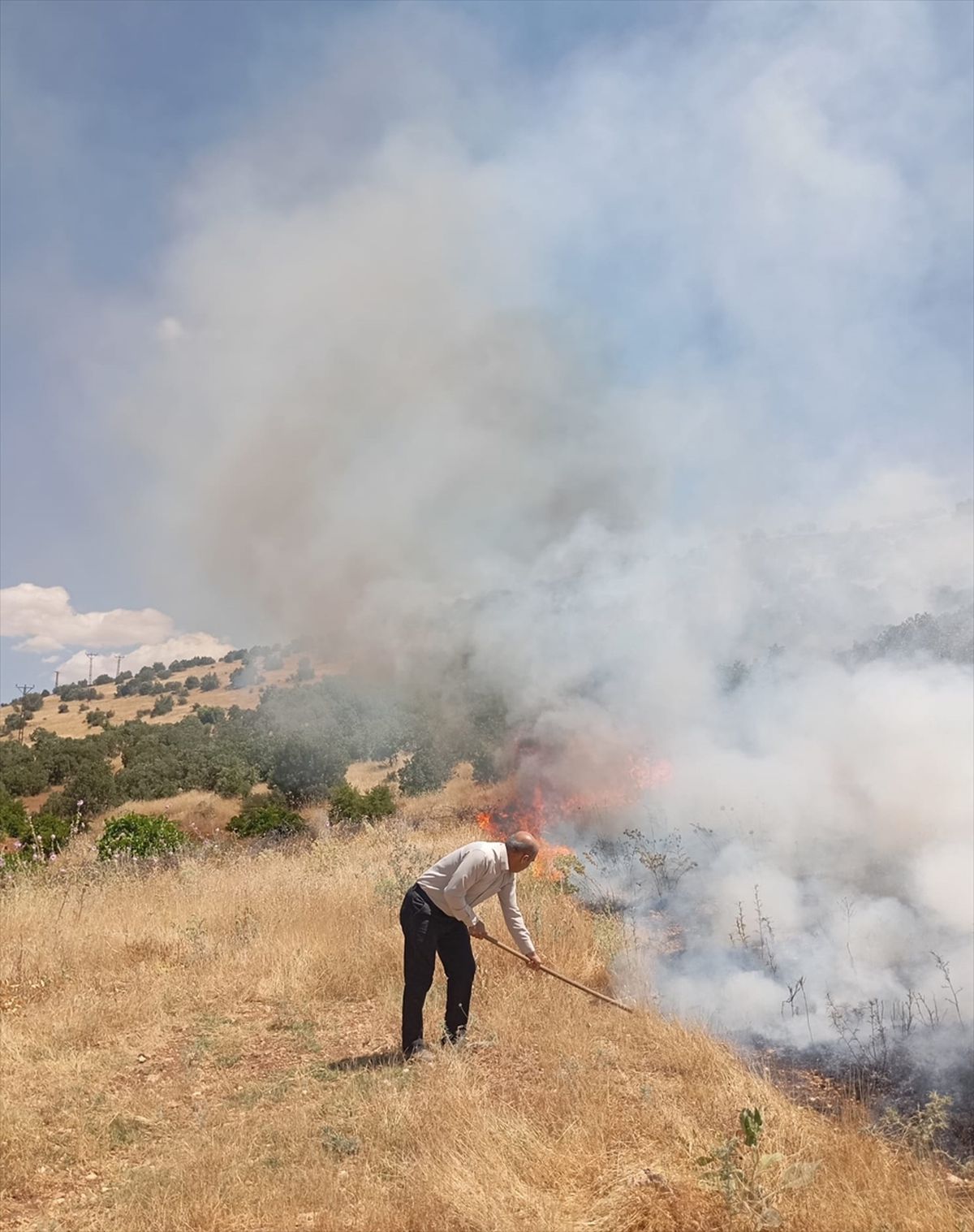 Mardin'de çıkan orman yangınına müdahale ediliyor