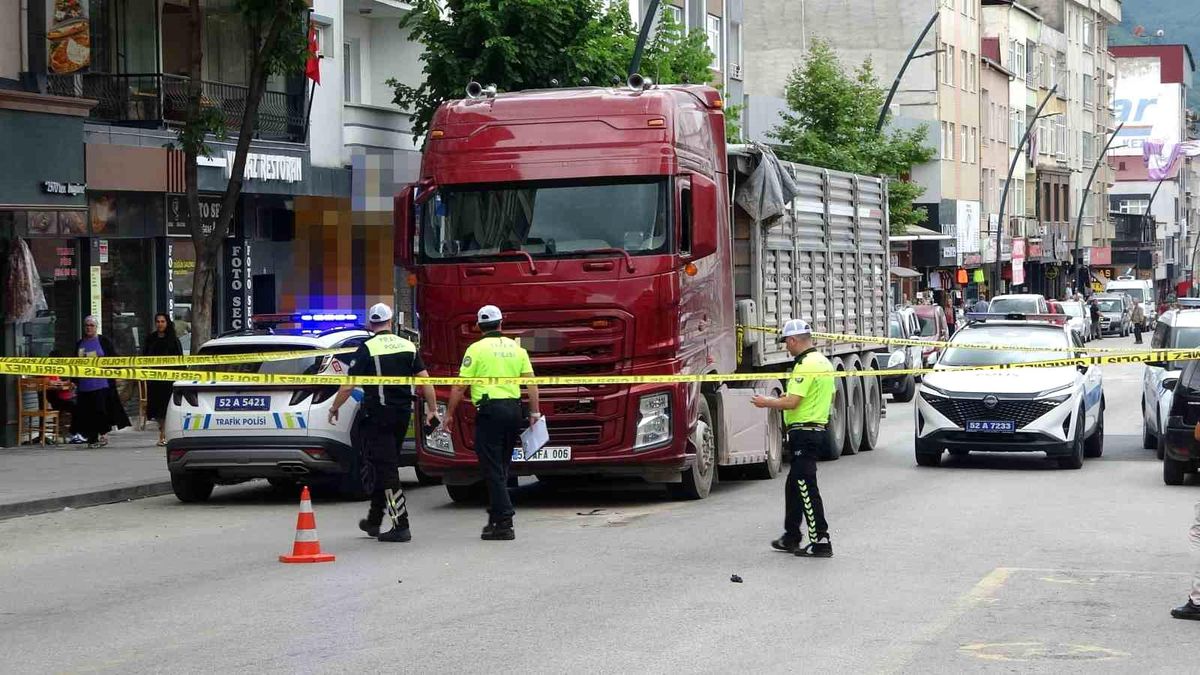 Ordu'da tırın çarptığı yaya ağır yaralandı