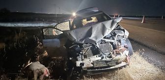 Şanlıurfa'da otomobilin koyun sürüsüne çarpması sonucu 3 kişi yaralandı