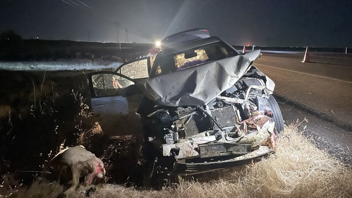 Şanlıurfa'da otomobilin koyun sürüsüne çarpması sonucu 3 kişi yaralandı