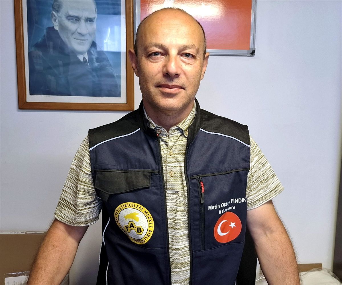 Sinop'ta kestane balında iyi sezon beklentisi