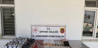 Şırnak'ta kaçakçılık ve asayiş operasyonlarında 73 şüpheli hakkında işlem yapıldı