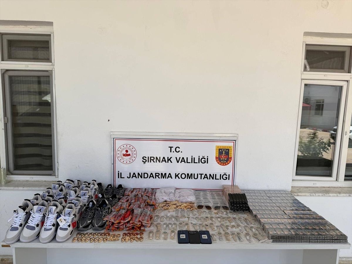 Şırnak'ta yapılan kaçakçılık ve asayiş operasyonlarına ilişkin genel bir görüntü.