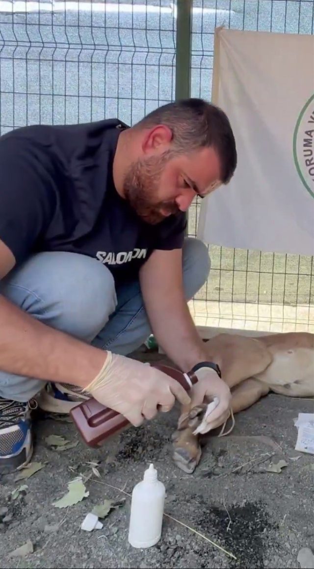 Illegal hunting incident in Şırnak