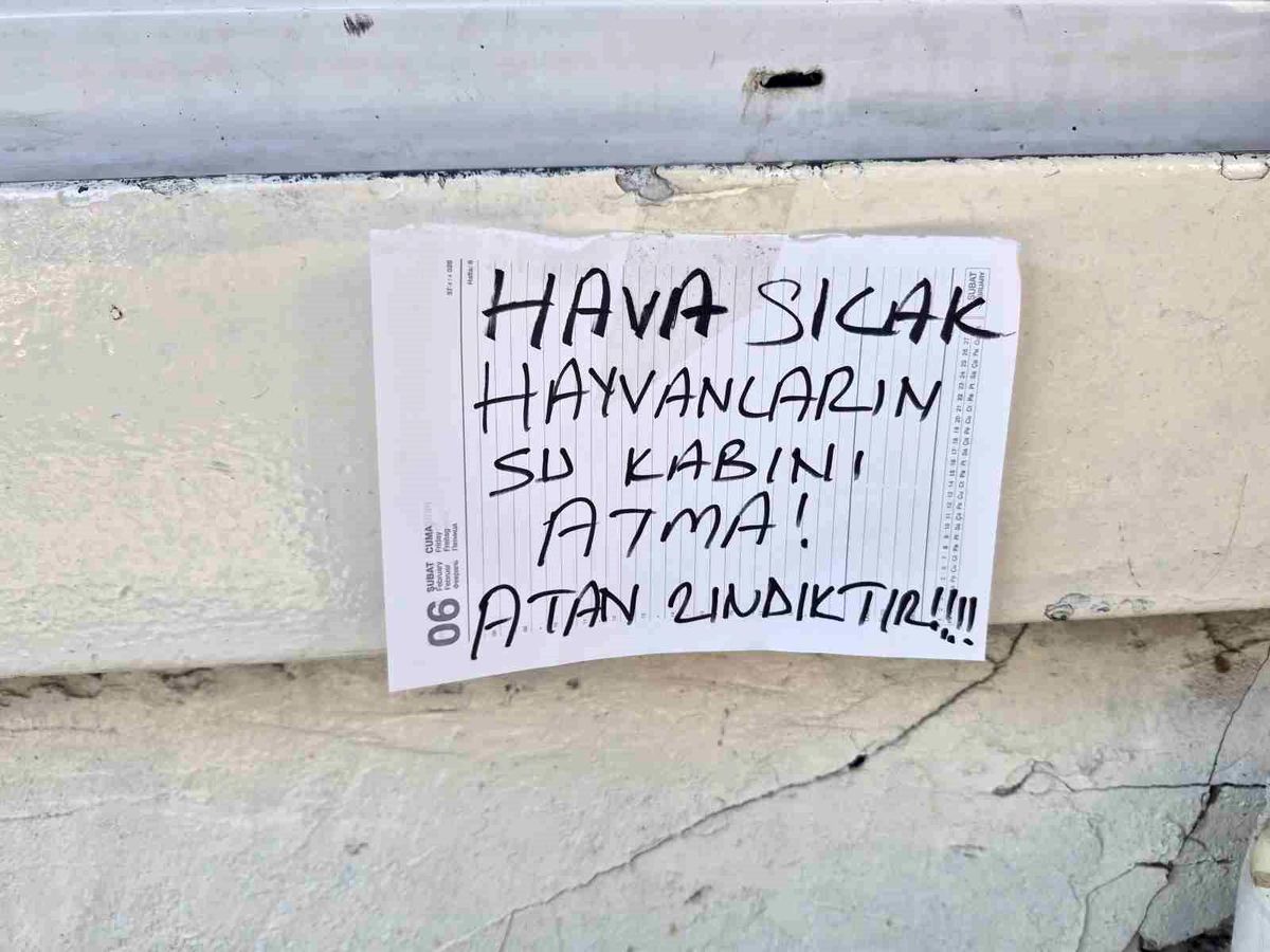 Sokak hayvanlarının su kabını atanlara ilginç tepki: 'Atan zındıktır'